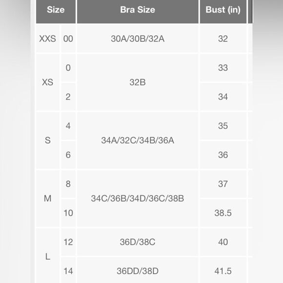 NWT Rachel Lym Underwired Strapless Bikini Bandeau Top - Picture 2 of 7